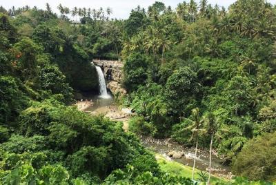 Best of Waterfalls Around Ubud Area