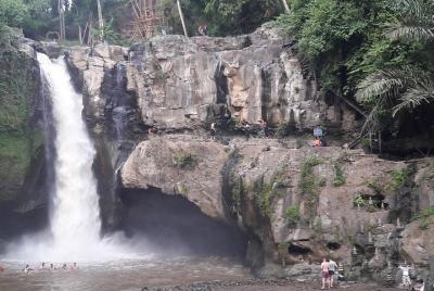 Bali : Best of Ubud Sightseeing Private Tour - Free WiFi Bali : Best of Ubud Sightseeing Private Tour - Free WiFi