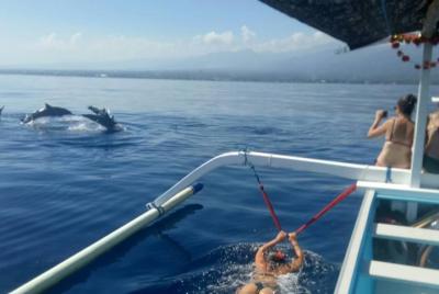 Lovina Beach Private Guided Tour : Dolphin Watching & Waterfall - Free WiFi  Lovina Beach Private Guided Tour : Dolphin Watching & Waterfall - Free WiFi