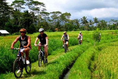 Rice Paddy Cycling Tour Rice Paddy Cycling Tour