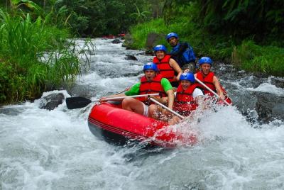Telagawaja River Rafting in Bali with Transportation Telagawaja River Rafting in Bali with Transportation