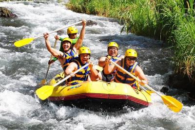 Bali White Water Rafting and Zip Line Adventure Bali White Water Rafting and Zip Line Adventure