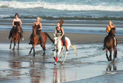 Bali Horse Riding 30 Minutes At Black Sand Beach-Ubud Market In A Private Tour! Bali Horse Riding 30 Minutes At Black Sand Beach-Ubud Market In A Private Tour!