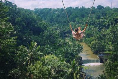 Bali Swing All Inclusive Experience  Bali Swing All Inclusive Experience