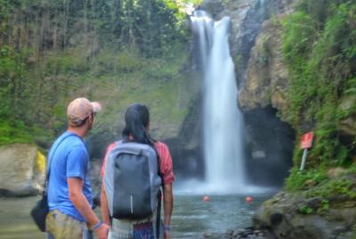 Full Day Ubud and Swing with Private Transportation  Full Day Ubud and Swing with Private Transportation