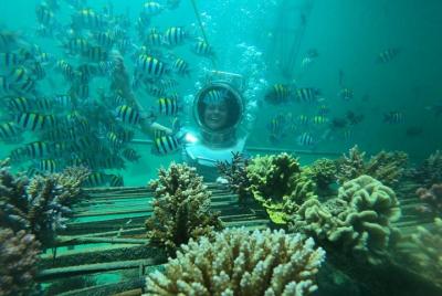 Best of Tanjung Benoa Tour : Bali Sea Walker Experience - Private Tour Best of Tanjung Benoa Tour : Bali Sea Walker Experience - Private Tour