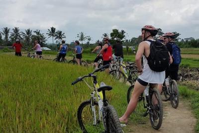 Kintamani volcano and Ubud Cycling and Biking Trail Through the Essence of Bali Kintamani volcano and Ubud Cycling and Biking Trail Through the Essence of Bali