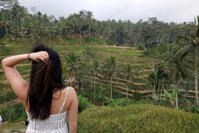 Private inclusive tour: Best of Ubud in a Day
