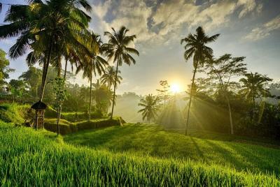 Best of Ubud with Tanah Lot Temple Private Tour