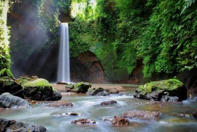 Full-Day Private Nature and Cultural Tour in Bali