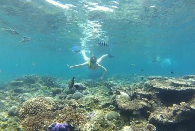 Inclusive Tour : Blue Lagoon Snorkeling - Tirta Gangga - Ubud Waterfall Inclusive Tour : Blue Lagoon Snorkeling - Tirta Gangga - Ubud Waterfall