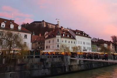 Private Walking Tour of Ljubljana with Castle and Scenic Tower Private Walking Tour of Ljubljana with Castle and Scenic Tower