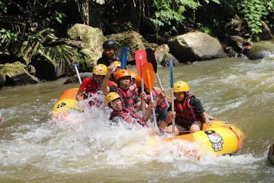 Ubud Adventure : Rafting & Bali Jungle Swing - Free WiFi Ubud Adventure : Rafting & Bali Jungle Swing - Free WiFi