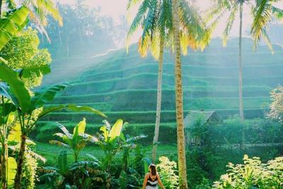 Ubud Tours Package Ubud Tours Package