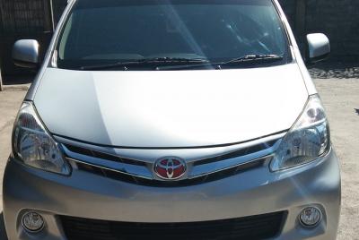 Bali: Private Driver Service