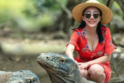 Daily Trip Highlight Komodo Archipelago by Speed Boat Daily Trip Highlight Komodo Archipelago by Speed Boat