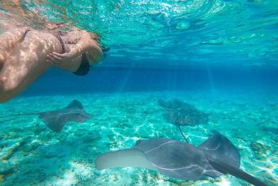 One day Komodo trip with Bintang Komodo Tours One day Komodo trip with Bintang Komodo Tours