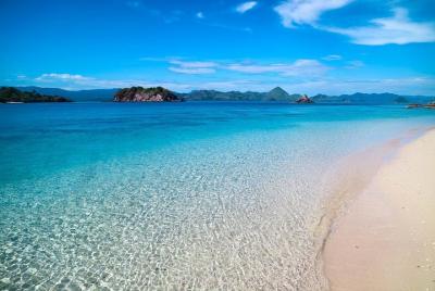 Day Trip Explore Komodo Park & Snorkeling  Day Trip Explore Komodo Park & Snorkeling