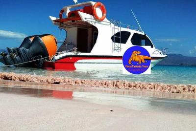 1Day Komodo Trip by using Fast Boat Private. 1Day Komodo Trip by using Fast Boat Private.