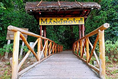 Bintan Mangrove Discovery Tour Bintan Mangrove Discovery Tour