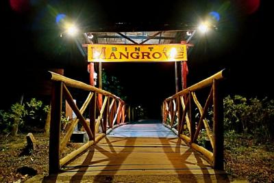 Bintan Fireflies Discovery Tour Bintan Fireflies Discovery Tour
