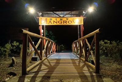 Bintan Fireflies Discovery Tour Bintan Fireflies Discovery Tour