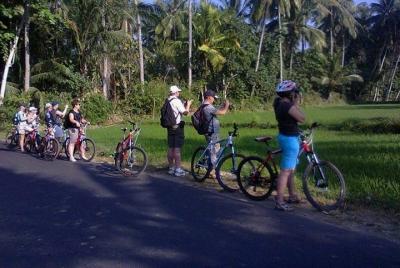 Lombok Cycling Tour: Tempos Rice Field, Hand Weaving Village & Pengsong Temple Lombok Cycling Tour: Tempos Rice Field, Hand Weaving Village & Pengsong Temple