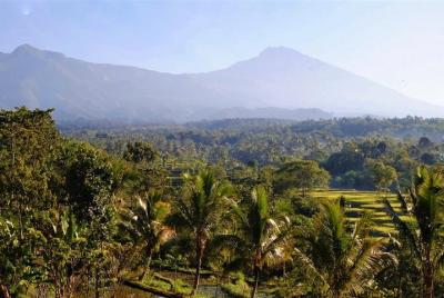 Rice paddies, local villages and handicraft Rice paddies, local villages and handicraft