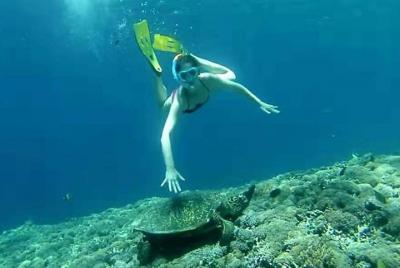 Gili Island Lombok One Day Snorkeling Tour Gili Island Lombok One Day Snorkeling Tour
