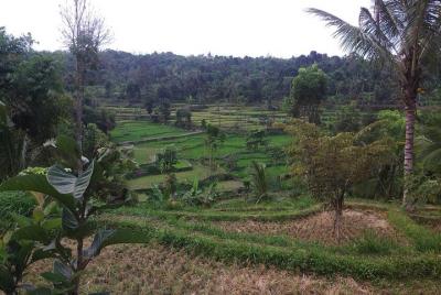 Soft Trekking Tetebatu Soft Trekking Tetebatu