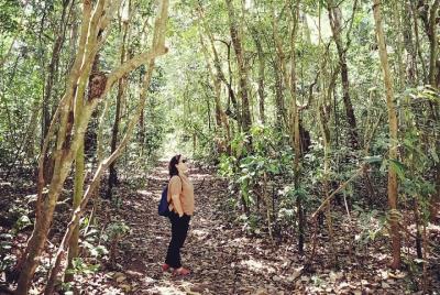 Suranadi Forest Trekking and Holy Bathing