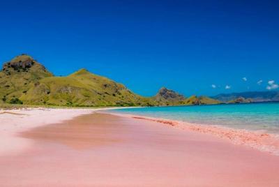 Lombok Pink Beach Instagram Tour - Private Day Trip All Inclusive Lombok Pink Beach Instagram Tour - Private Day Trip All Inclusive
