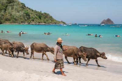 South Lombok Beaches Tour with Japanese-Speaking Guide South Lombok Beaches Tour with Japanese-Speaking Guide
