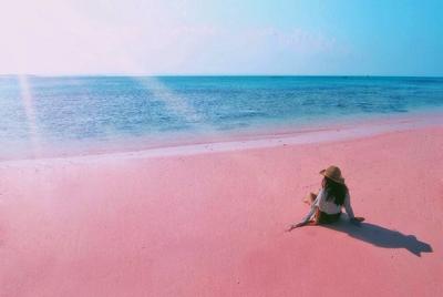 Visite L Visite L'île de Lombok: Pittoresque plage rose avec Guide Francophone