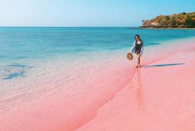 Lombok Pink Beach Island Hopping & Snorkeling with Japanese Speaking Guide Lombok Pink Beach Island Hopping & Snorkeling with Japanese Speaking Guide