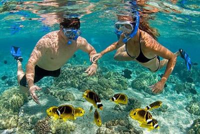 Full-Day Private Guided Lombok Snorkeling 3 Gili Islands  Full-Day Private Guided Lombok Snorkeling 3 Gili Islands