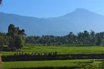 Tetebatu Trekking & Camping Trip 2D1N To The Jungle Tetebatu Trekking & Camping Trip 2D1N To The Jungle