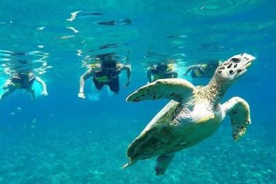 Snorkeling Tour In Gili Islands Pick Up From Lombok Or Gili Snorkeling Tour In Gili Islands Pick Up From Lombok Or Gili