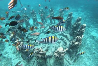 Gili Trawangan,Gili Meno& Gili Air Island:Snorkeling Day Trip Depart from Lombok Gili Trawangan,Gili Meno& Gili Air Island:Snorkeling Day Trip Depart from Lombok