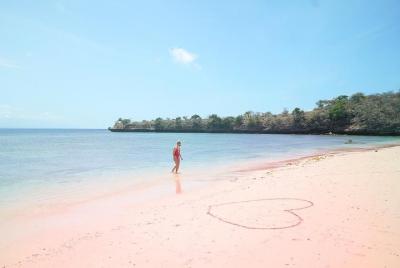 Exotic Lombok Exotic Lombok's Pink Beach Private Tour