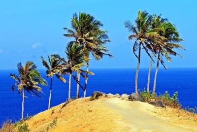 Lombok Waterfall Tour with Forest and Hill: All Inclusive Lombok Waterfall Tour with Forest and Hill: All Inclusive