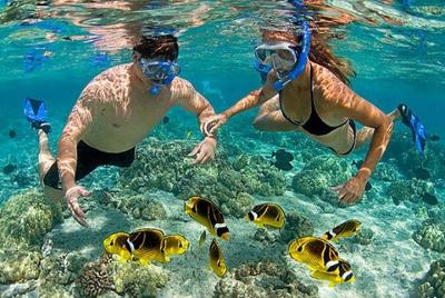 Pink Beach Lombok Snorkeling Tour Pink Beach Lombok Snorkeling Tour