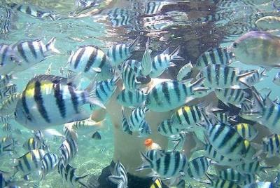 Lombok Tour Package, 4 Days 3 Nights Lombok Tour Package, 4 Days 3 Nights