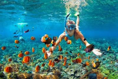 Lombok Snorkeling Tour At Gili Islands All-Inclusive Lombok Snorkeling Tour At Gili Islands All-Inclusive