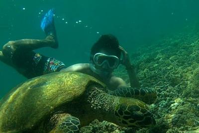 Package 3 days trip : Snorkeling, visiting Waterfall, & Beach Hopping trip (C) Package 3 days trip : Snorkeling, visiting Waterfall, & Beach Hopping trip (C)