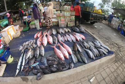 Fish & Traditional Market Package Visit 