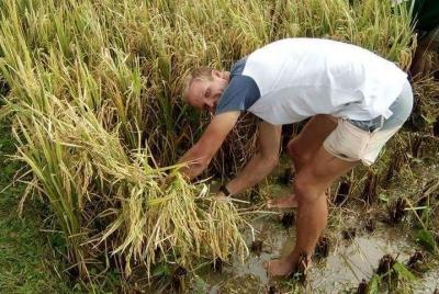 Day Trip in Local Life of Sasak Tribe