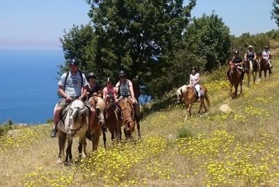 Alanya Horse Riding (Half Day) - Horse Safari in Alanya
