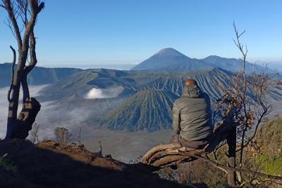 Bromo Sunrise Tour - 1 Day Tour Bromo Sunrise Tour - 1 Day Tour