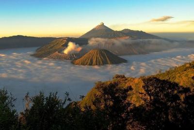 Malang Private Car Charter Malang Private Car Charter
